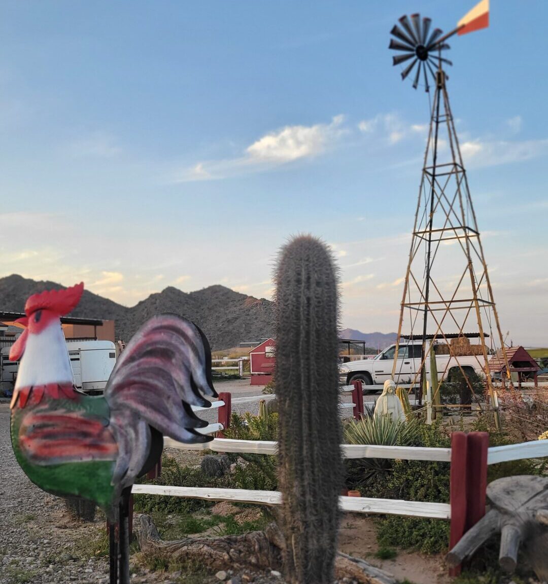 Wyjazd na&nbsp;farmę Państwa Flisów do&nbsp;Maricopa, AZ 2023